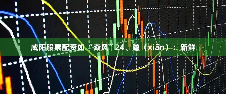 咸阳股票配资如 “猋风”24、鱻（xiān）：新鲜