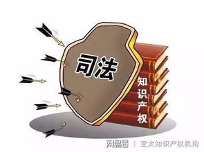 知識產(chǎn)權(quán)司法 公信力與國際影響力的雙重躍升與服務(wù)效能優(yōu)化